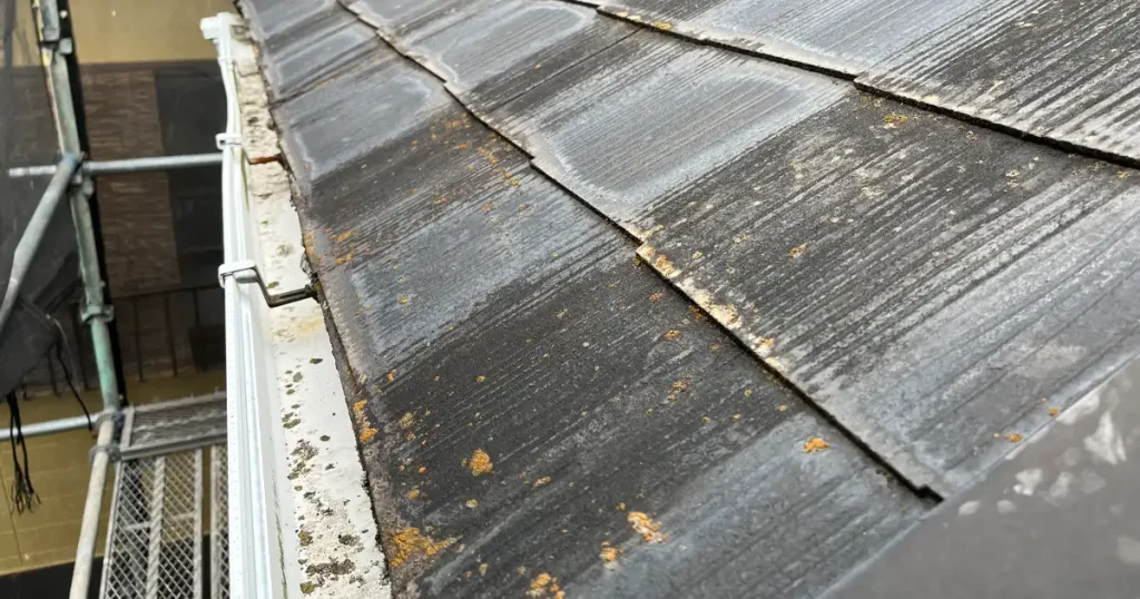 屋根に生えた苔画像